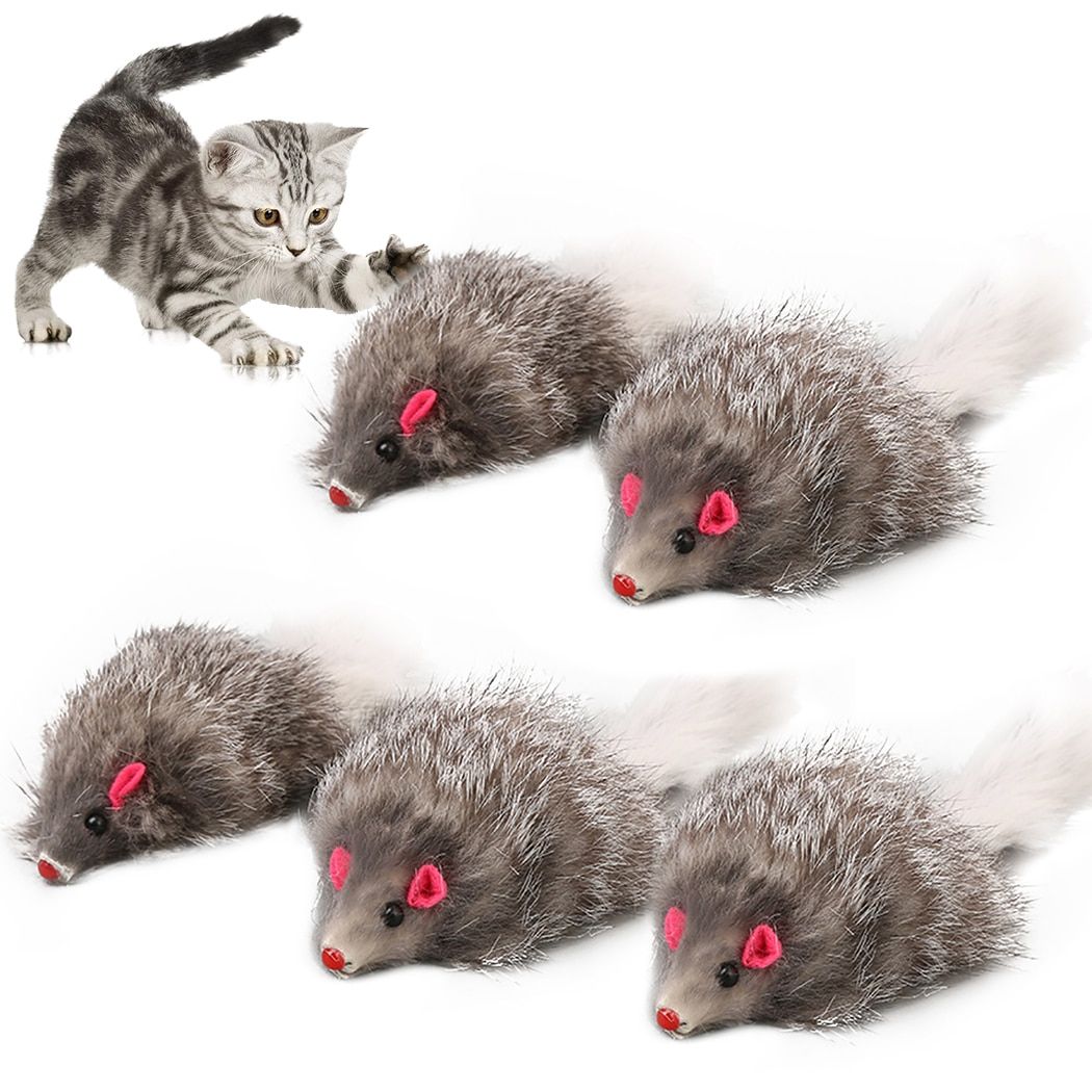 5 Pices Chat En Peluche Doux Couleur Unie Interactif Souris... - 2
