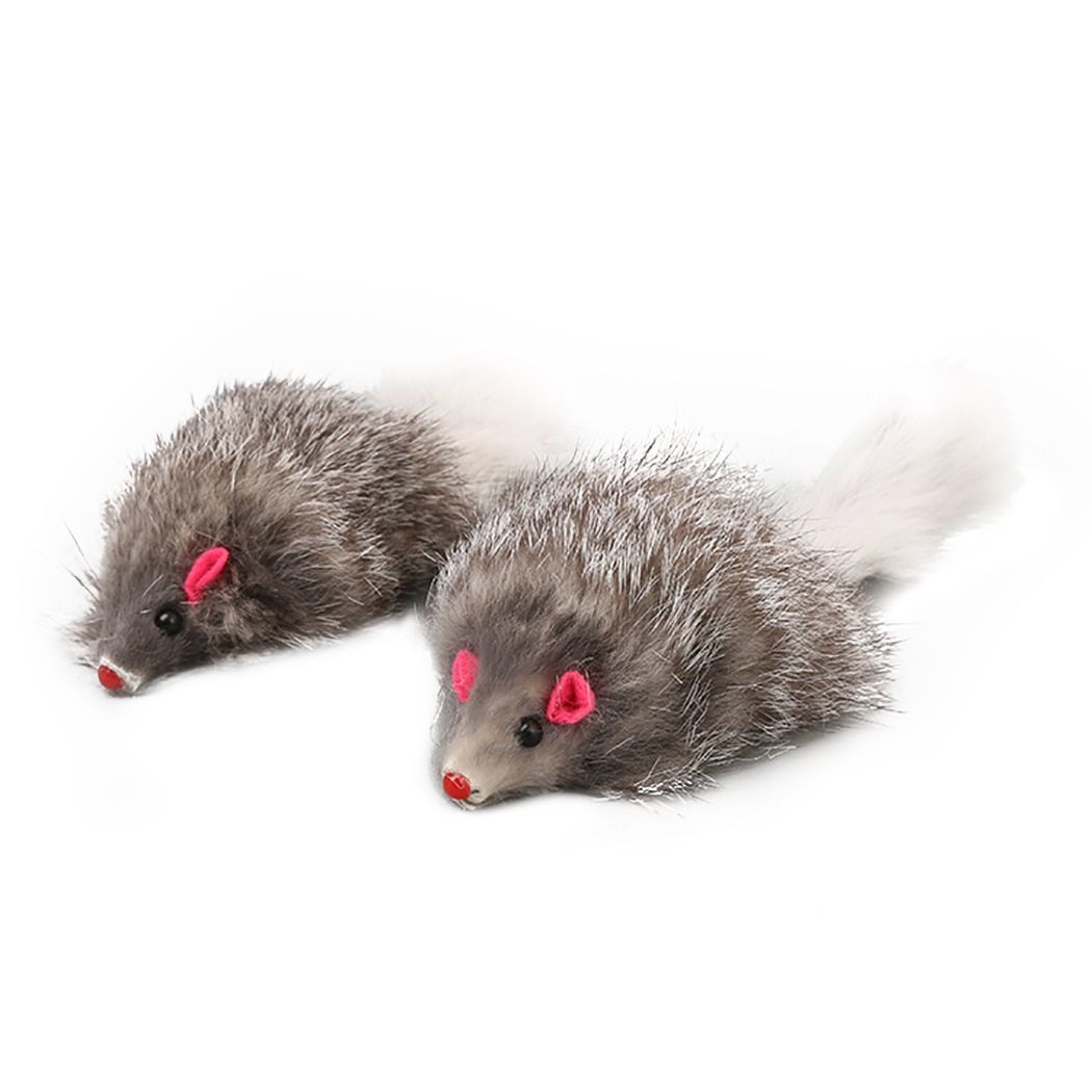 5 Pices Chat En Peluche Doux Couleur Unie Interactif Souris... - 3