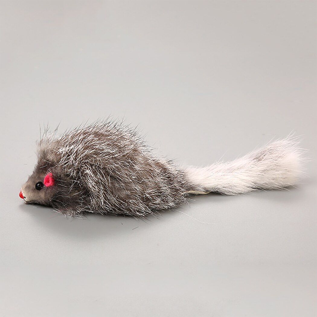 5 Pices Chat En Peluche Doux Couleur Unie Interactif Souris... - 4