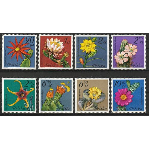 Belle Série Sur Les Cactus En Fleurs Pologne, Timbres Neufs** 1981