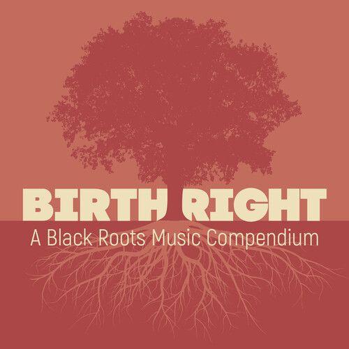 Various Artists - Birthright: A Black Roots Music Compendium (Various Artists) [Compact Discs]