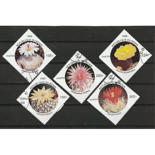 Bénin, Série De 5 Timbres Oblitérés Sur Les Cactus 1999