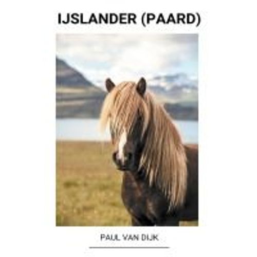 Ijslander (Paard)