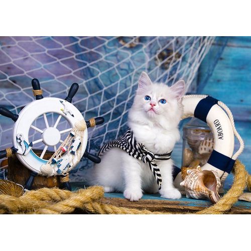 Capitaine Chaton - Puzzle 1000 Pièces
