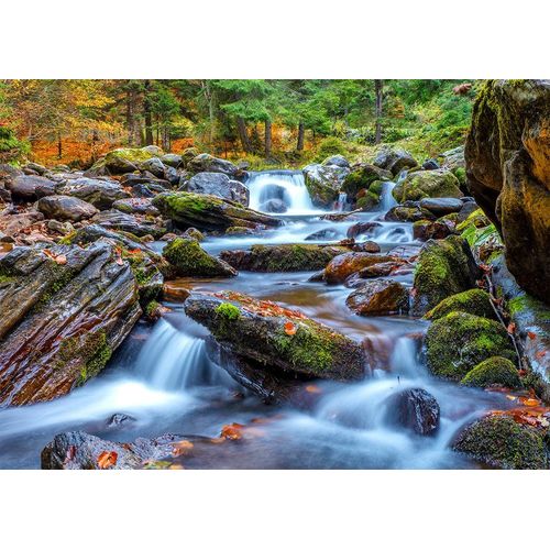 Forest Stream In Autumn - Puzzle 1000 Pièces
