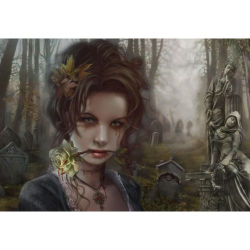 The Graveyard - Puzzle 1000 Pièces