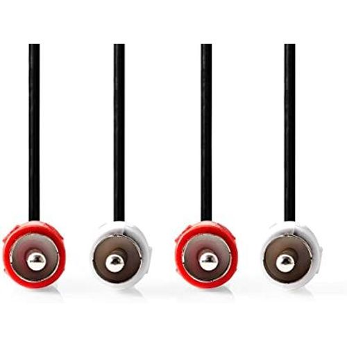 Câble audio 2 x RCA Blanc-Rouge 1 m