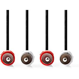 Câble audio 2 x RCA Blanc-Rouge 1 m