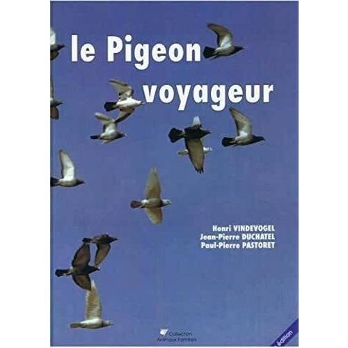 Le Pigeon Voyageur