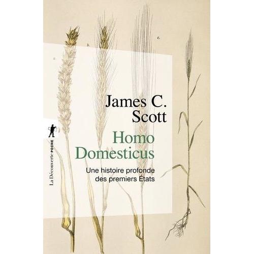 Homo Domesticus - Une Histoire Profonde Des Premiers Etats