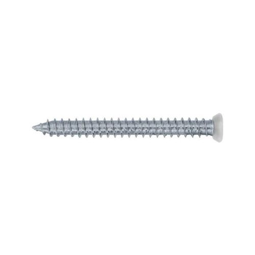 Vis auto taraudeuse who tf torx blanche 202 mm boite de 100