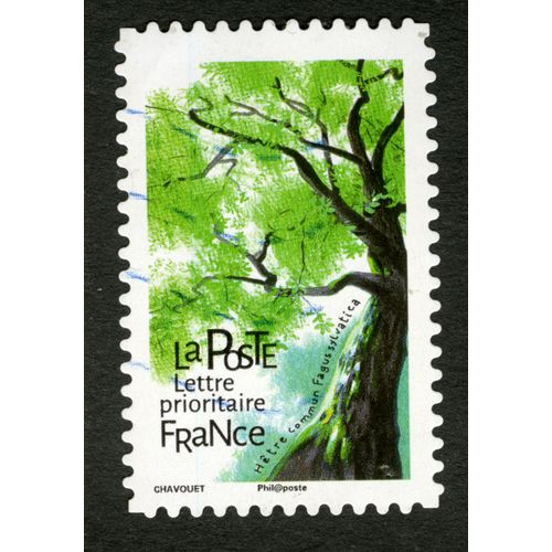 Timbre Oblitéré Hêtre Commun,Fagus Sylvatica,La Poste,Lettre Prioritaire,France