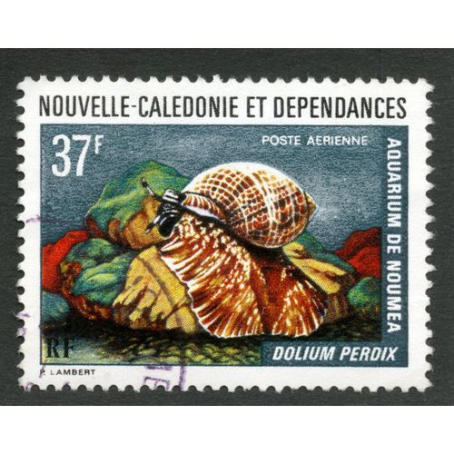 Timbre Oblitéré Nouvelle-Calédonie Et Dépendances,Aquarium De Noumea,Dolium Perdrix,Poste Aérienne,Lambert,Rf,37f