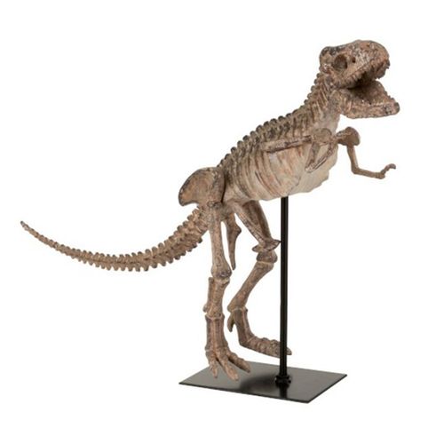 Paris Prix - Statuette Déco Sur Pied "dino T-rex" 47cm Marron