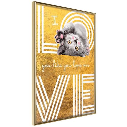 Paris Prix - Affiche Murale Encadrée "Cat Love" 20 X 30 Cm Or