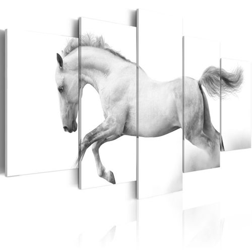 Tableau Imprimé "Cheval Passion & Liberté" 100 x 200 cm