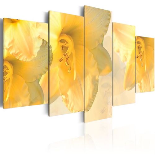 Tableau Imprimé "Lys Comme dans un Rêve" 100 x 200 cm