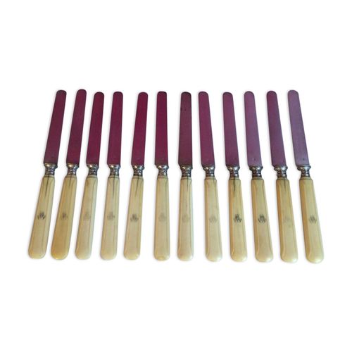 Lot De 12 Couteaux  Fromage Dessert Lames En Argent Massif Jp Couronn Minerve Beige