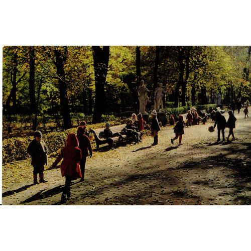 Carte Postale Enfants Jouant Dans Un Parc