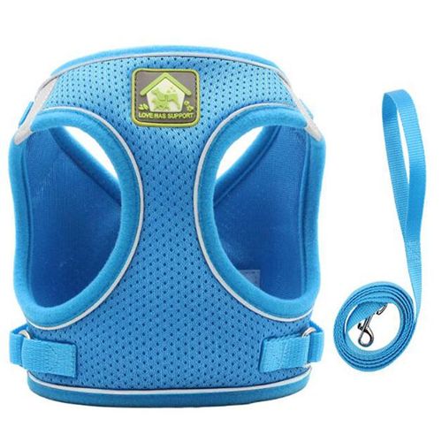 Ensemble Harnais Et Laisse Réfléchissants Pour Chat, En Nylon, En Maille, Pour Chaton, Chiot, Chien, Vêtements Pour Animaux De Compagnie, Nouveau