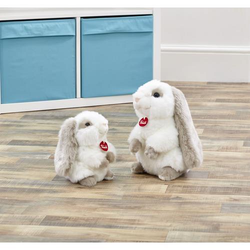 Lumicalin lapin clearance