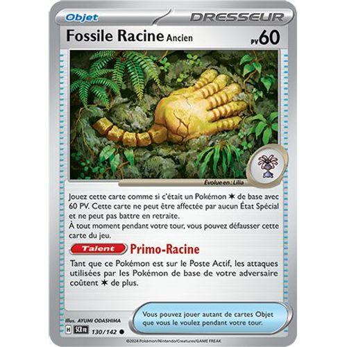 Fossile Racine Ancien - 130/142 - Couronne Stellaire