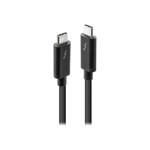 Lindy - Câble Thunderbolt - 24 pin USB-C (M) pour 24 pin USB-C (M) - USB 3.1 Gen 2 / Thunderbolt 3 / DisplayPort 1.2 - 1 m - connecteurs réversibles, support 4K - noir
