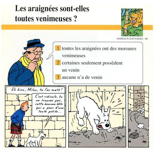 Fiche Atlas Tintin - Animaux Sauvages N°60 Les Araignées Sont-Elles Toutes Venimeuses ?