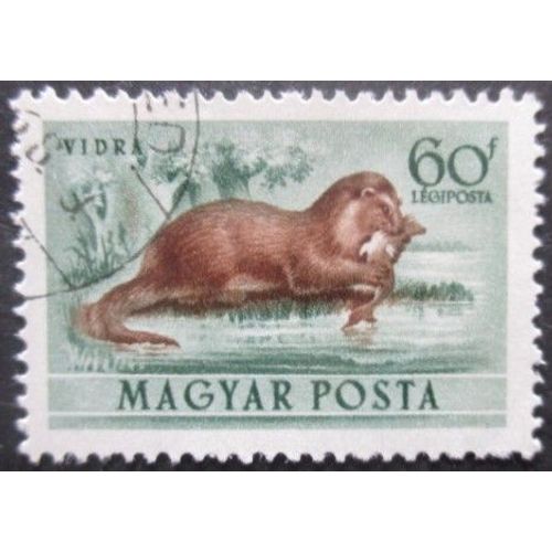 Hongrie Poste Aérienne N°140 Loutre Oblitéré