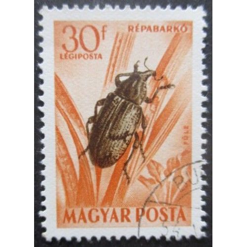 Hongrie Poste Aérienne N°160 Charençon Oblitéré