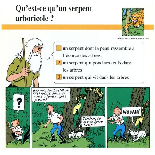 Fiche Atlas Tintin - Animaux Sauvages N°44 Qu'est-Ce Qu'un Serpent Arboricole ?