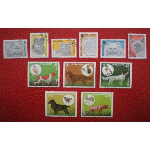 Lot De 11 Timbres Oblitérés - Bulgarie - Faune - Animaux - Chats De Races - Chiens De Chasse Et Leur Gibier