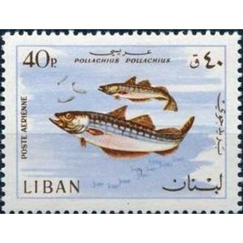 Timbre Liban Poste Aérienne 1968 Oblitéré - Poisson Pollachius - 40p Yt Lb Pa438