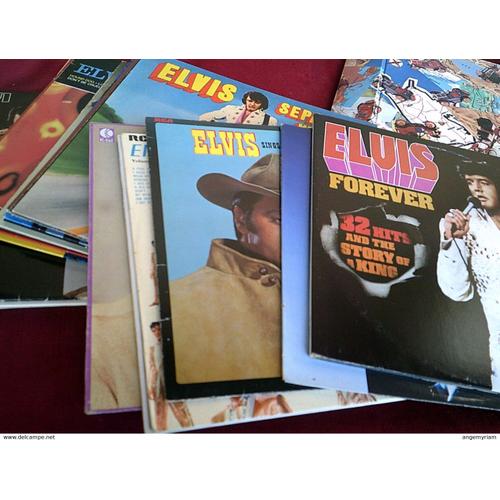 Collection De 20 Disques Vinyles 33 Tours De Elvis Presley