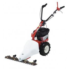 Motofaucheuse à section - barre de coupe 87 cm - B&S series 625 - M210 EUROSYSTEMS