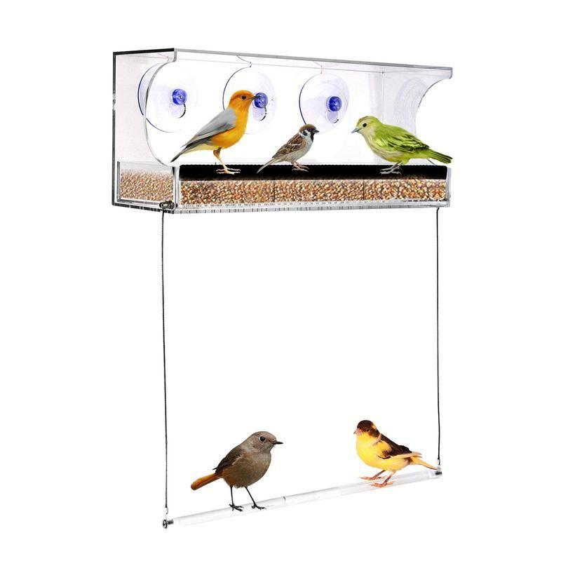 Acrylique Fenêtre Maison Oiseau Mangeoire Avec Ventouse Tasses