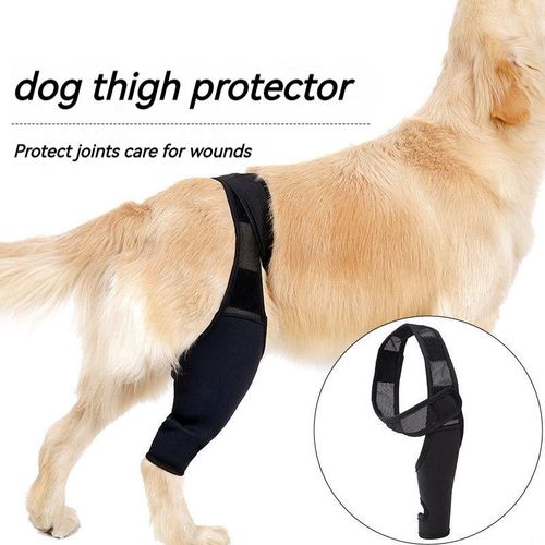 Genouillères Fixes Chirurgicales Pour Chiens, Support, Attelle, Leggings, Protection Des Animaux Domestiques, Couverture Des Pieds, Accessoires Pour Chiots