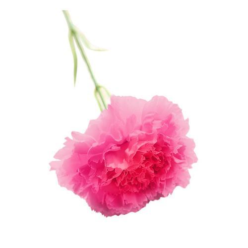 ¿illet de fleur artificielle 1 à 6 têtes, pivoine, sachet de thé, décoration de Table, de bureau, faux Bouquet, décoration florale pour Banquet de mariage, 1 pièce