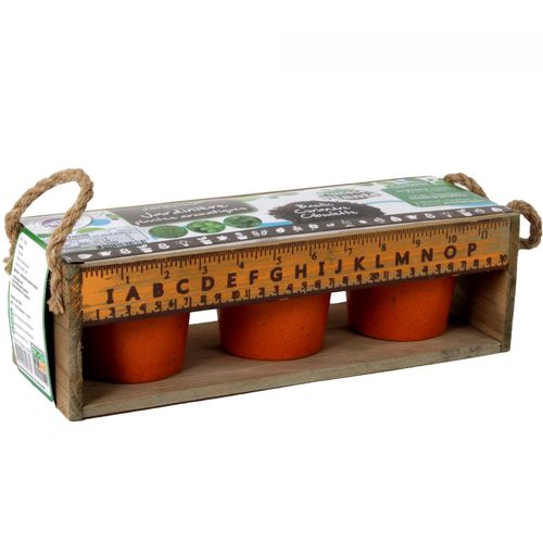 Permanent Mixte Bte/ Jardiniere En Bois Avec 3 Pots