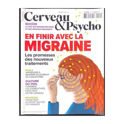 Cerveau Et Psycho 114