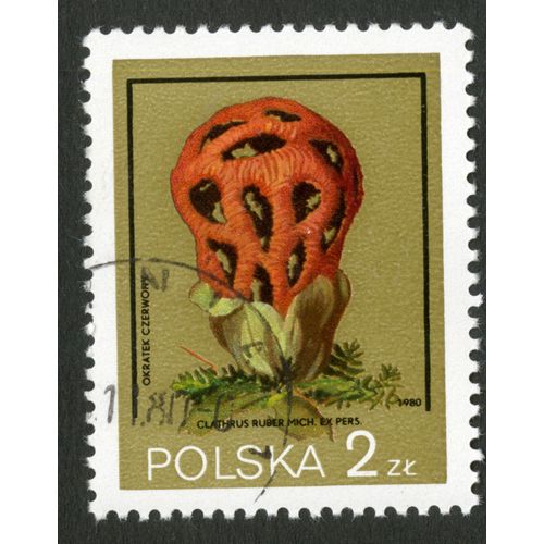 Timbre Oblitéré Polska,Clathrus Ruber Mich.Ex.Pers.,Okratek Czerwony,1980,2 Zl