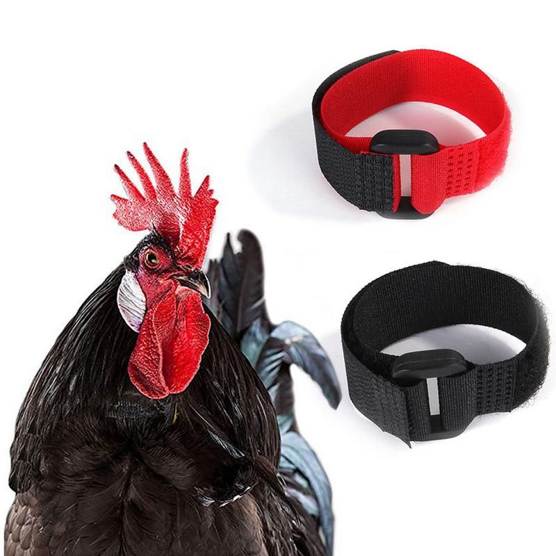 Collier De Poulet En Nylon, Anti-Crochet, Anti-Bruit, Durabl... - 2