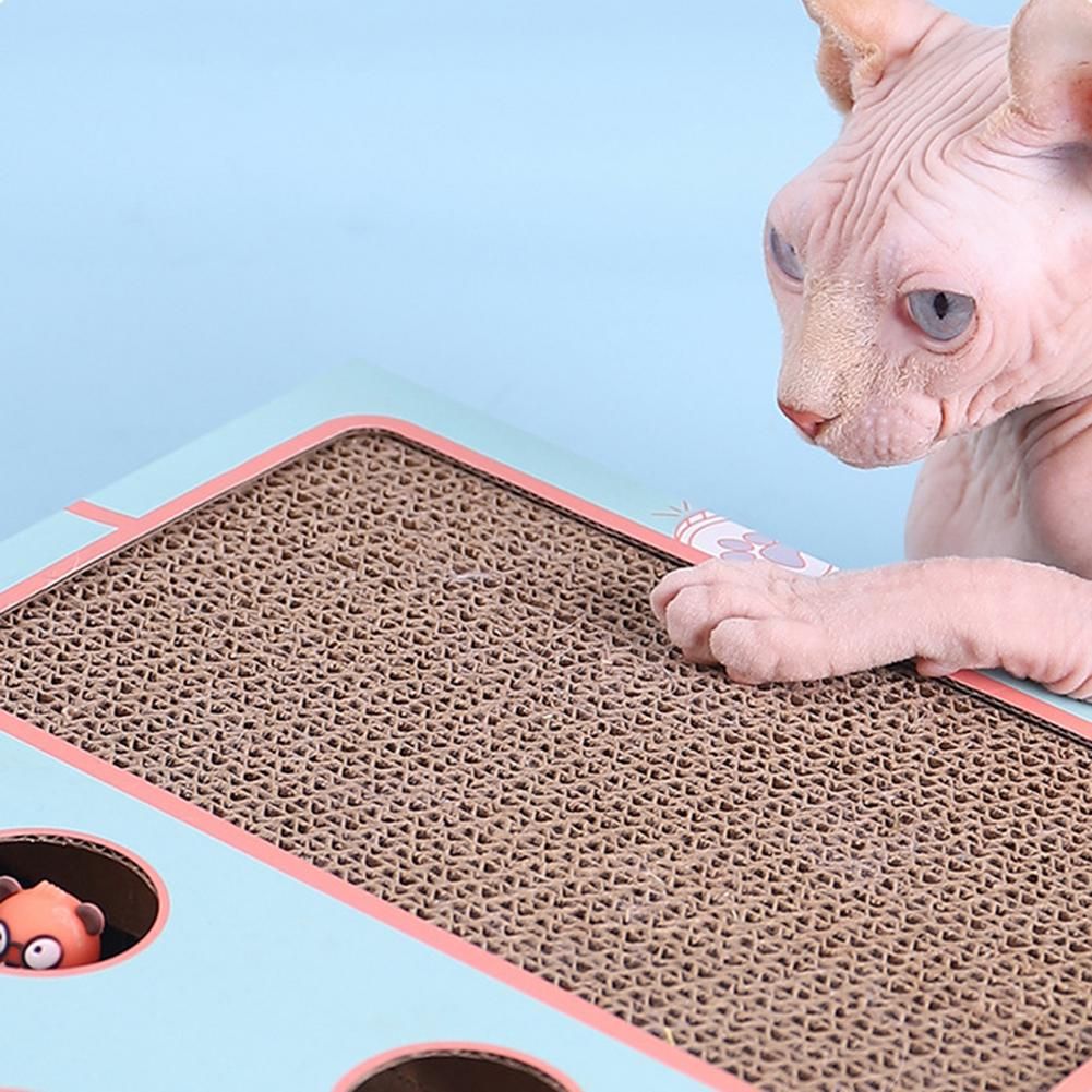 Jouet Interactif En Bois Pour Chat, Jeu De Chasse Avec Attra... - 3