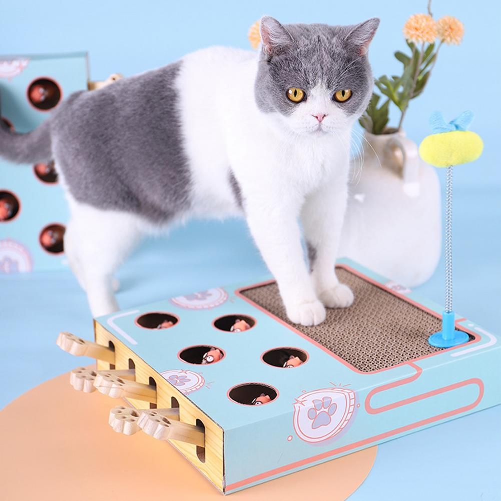 Jouet Interactif En Bois Pour Chat, Jeu De Chasse Avec Attra... - 4