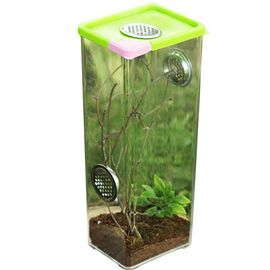 Boîte D'élevage De Reptiles En Acrylique Transparent, Réservoir De Terrarium Transparent, Boîte D'alimentation Pour Reptiles, Spider Scorpion, Boîte Écologique Assemblée