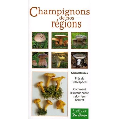 Champignons De Nos Régions