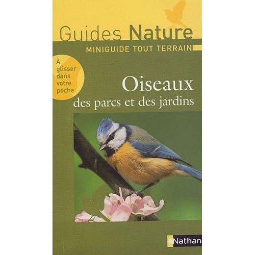 Oiseaux Des Parcs Et Des Jardins