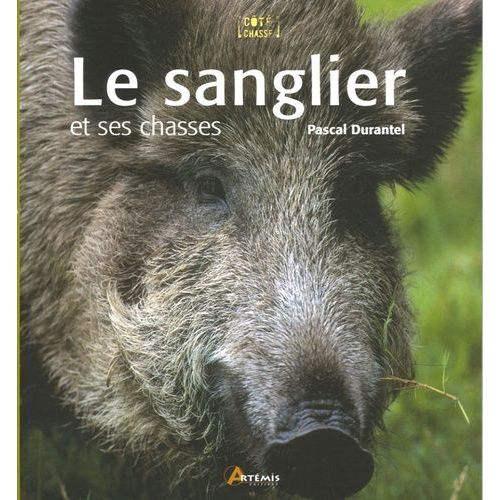 Le Sanglier Et Ses Chasses