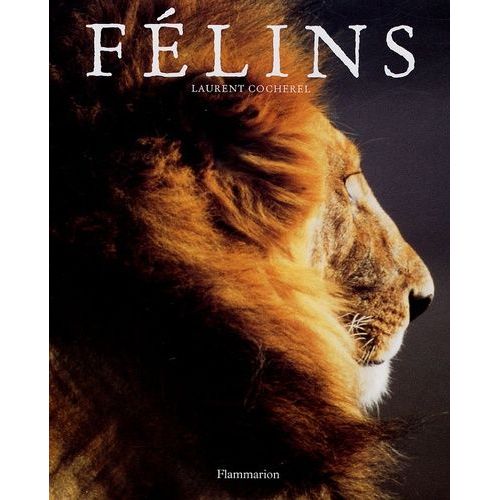Félins