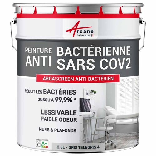 Peinture mur antibactérienne lessivable Gris Telegris 4 - RAL 7047 2.5 L